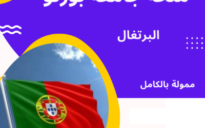 University of Porto Scholarships in Portugal